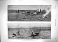Original Old Antique Print 1879 Rounding Cattle America Camp Horses Waggon 19th