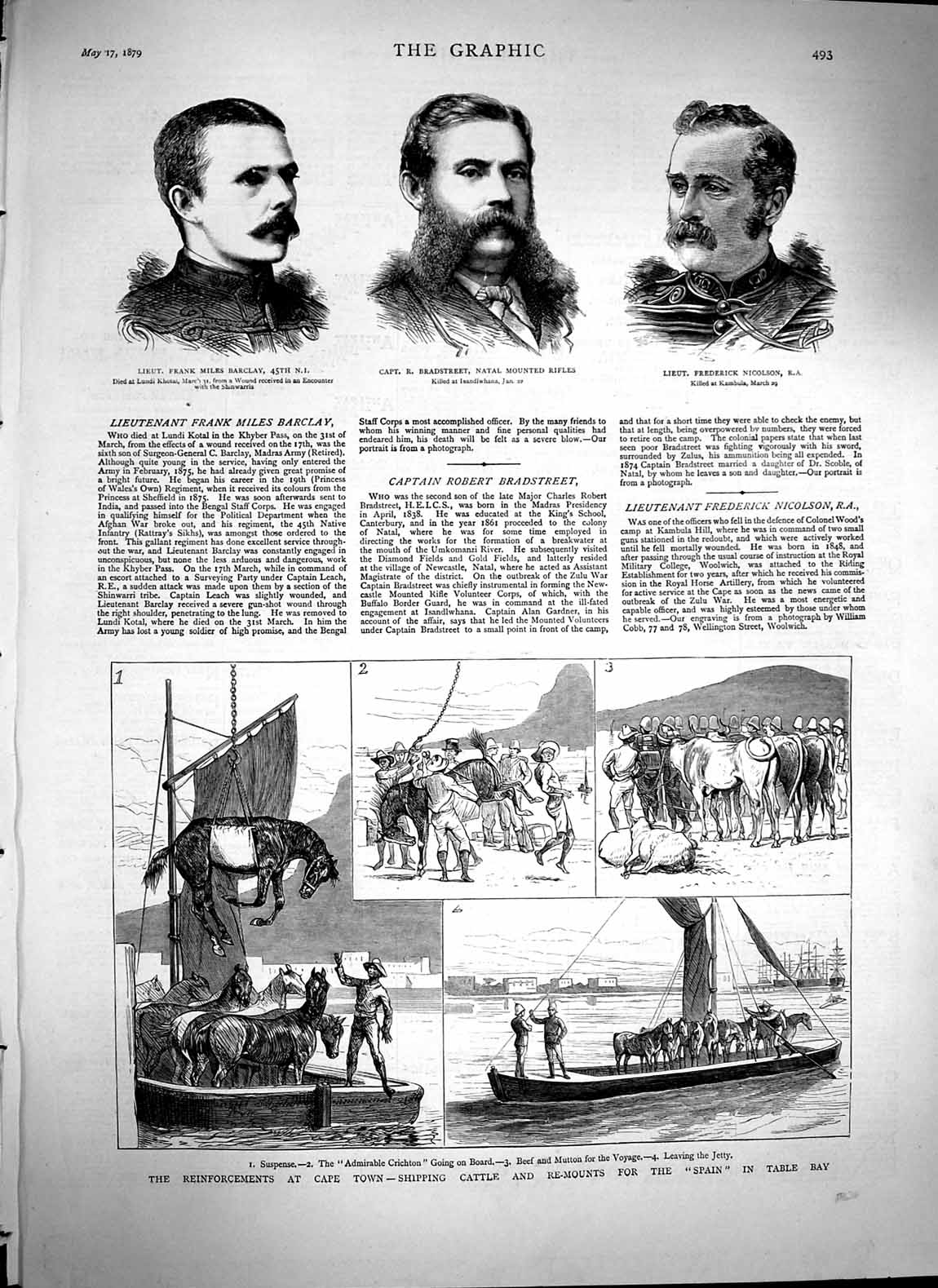 Original Old Antique Print 1879 Cape Town Ships Cattle Barclay Bradstreet War