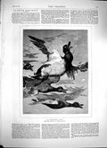 Original Old Antique Print 1879 Essex Clayton Ducks Shooting Birds Flying 19th