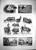Old Antique Print 1879 William Tell Chapel Switzerland Paris Bull Ligero 19th