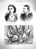 Original Old Antique Print 1879 Burnham Beeches Countess Waldegrave Boughton