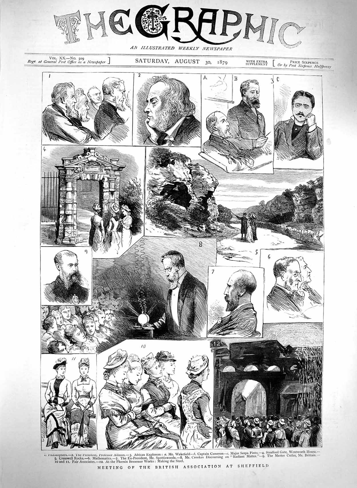Original Old Antique Print 1879 British Association Sheffield Allman Cameron