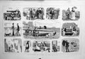 Old Antique Print 1879 Sea-Side Sketches Beach White Cliffs Romance Dogs 19th