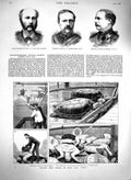 Original Old Antique Print 1879 Turtles H.M.S Jumna Major Knox Macpherson Massy