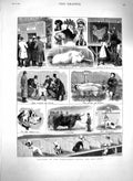 Original Old Antique Print 1879 Birmingham Cattle Show Dogs Sheep Birds Animals