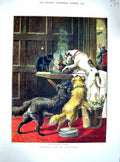 Original Old Antique Print 1879 Waller Colour Dogs Christmas Pudding Table 19th