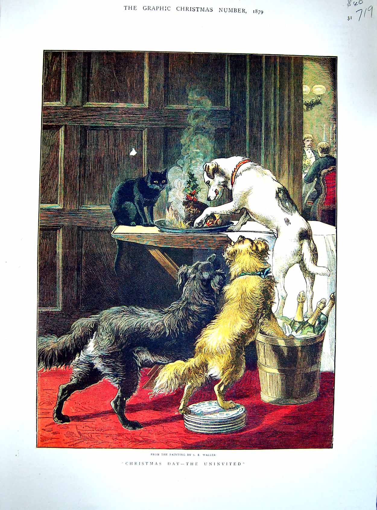 Original Old Antique Print 1879 Waller Colour Dogs Christmas Pudding Table 19th