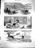 Original Old Antique Print 1880 British Columbia Horses Sekukuni Pipers Siers