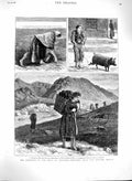 Original Old Antique Print 1880 Distress Ireland Killery Bay Clifden Kylemo 19th