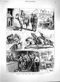 Old Antique Print 1880 United States America Racing Ponies Hotel Piazza 19th
