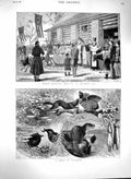 Old Antique Print 1880 Russia Blessing Cows George'S Day Poachers Polecat 19th