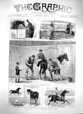 Original Old Antique Print 1880 Islington Horse Show Arab Jumping Sport Jockeys