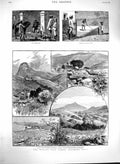 Original Old Antique Print 1880 Wynaad GFields India Richmond Coffee Needle