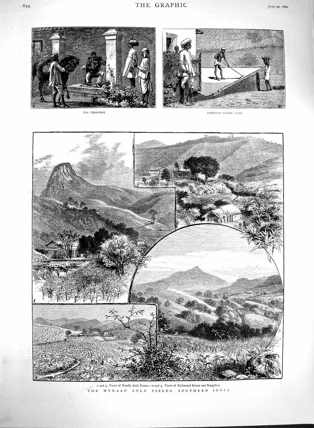 Original Old Antique Print 1880 Wynaad GFields India Richmond Coffee Needle