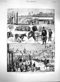 Original Old Antique Print 1880 Royal Agricultural Show Carlisle Cows Victorian