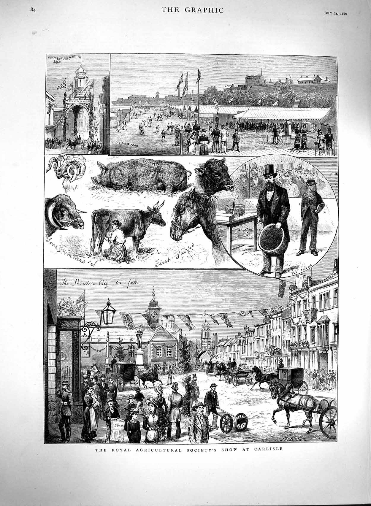 Original Old Antique Print 1880 Royal Agricultural Show Carlisle Cows Victorian