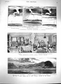 Old Antique Print 1880 War South America Arica Hospital Fitzroy Norwich 19th