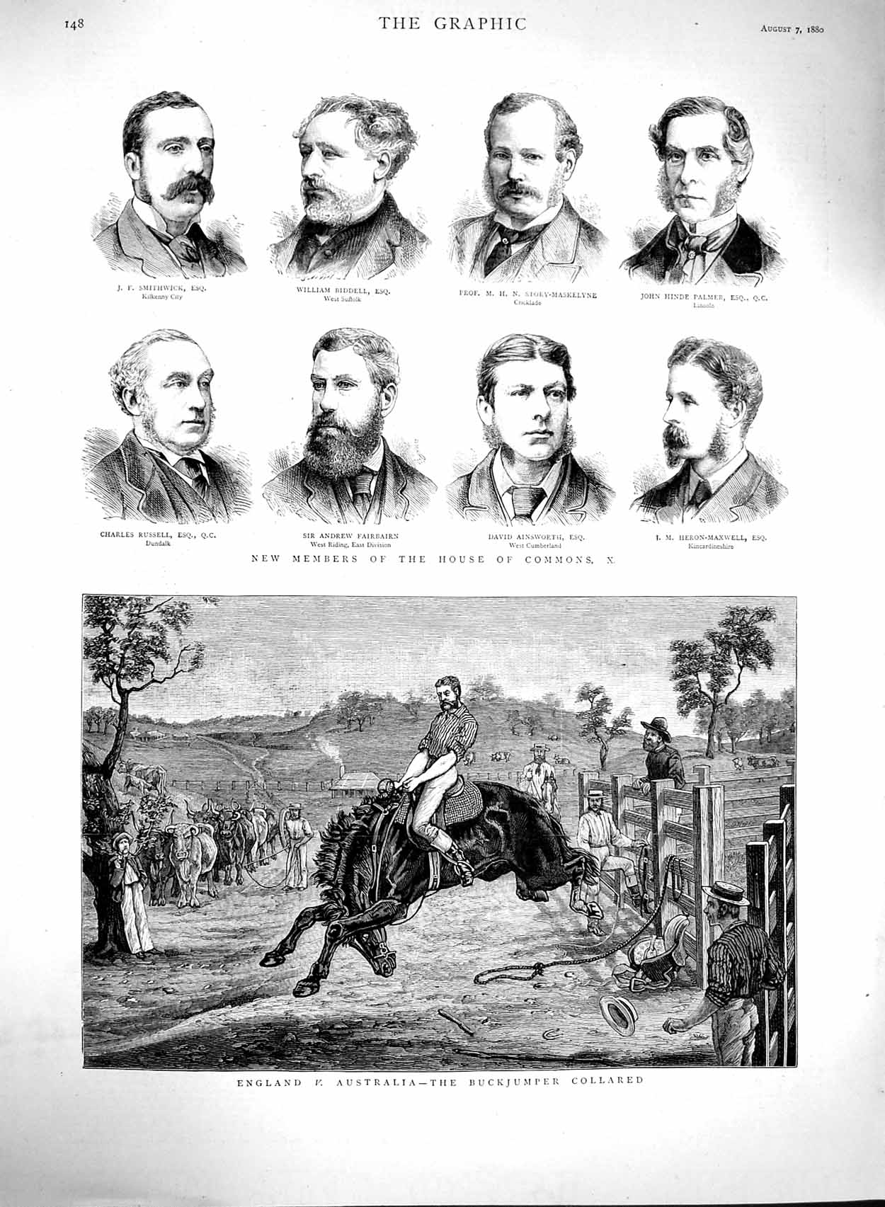 Original Old Antique Print 1880 Buckjumper Horse House Commons Biddell Fairburn