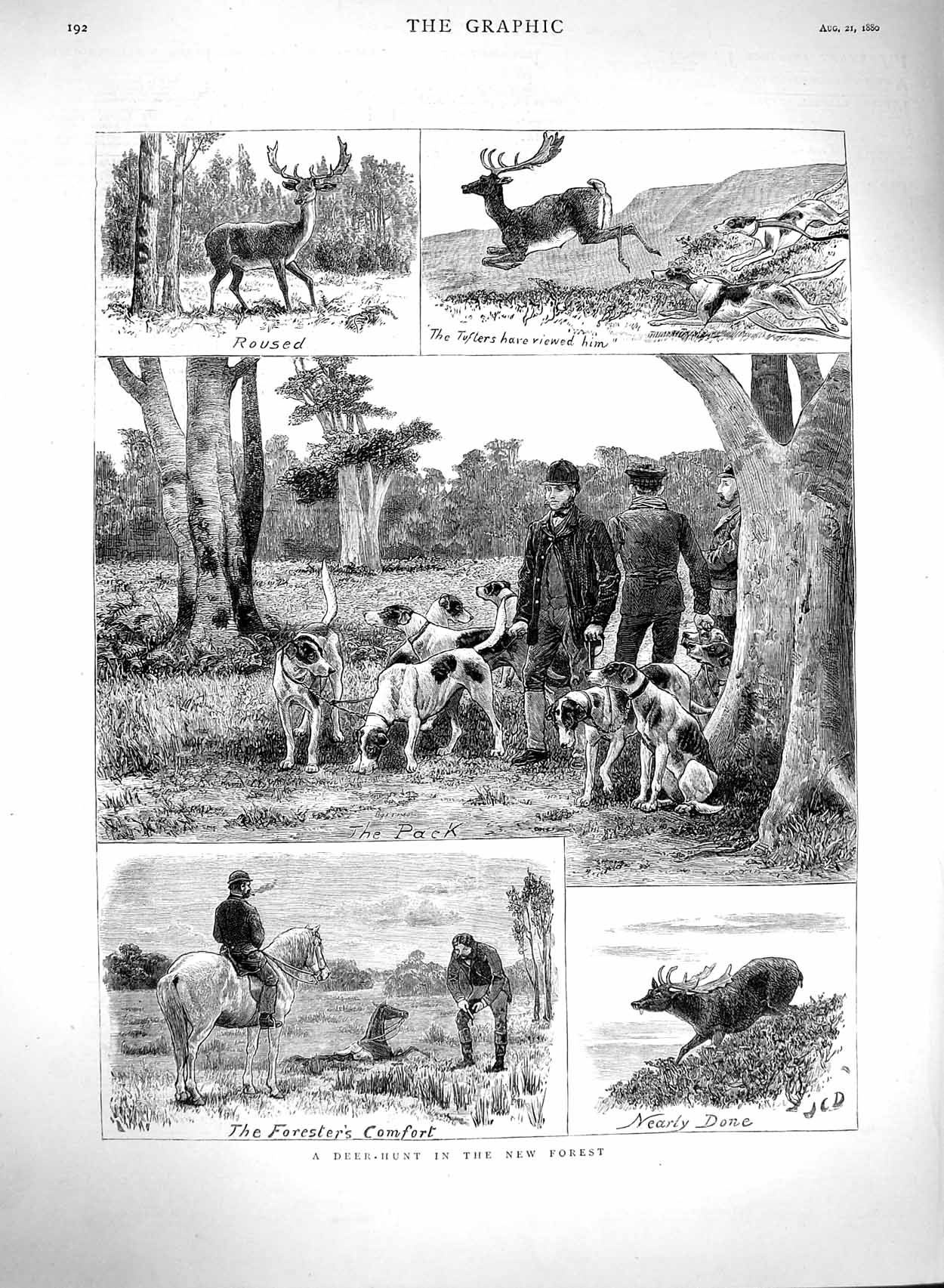 Original Old Antique Print 1880 Deer Hunting New Forest Horses Hounds Dogs 19th
