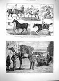 Original Old Antique Print 1880 Afghanistan Camel Ambulance Kurrum Dubli 19th