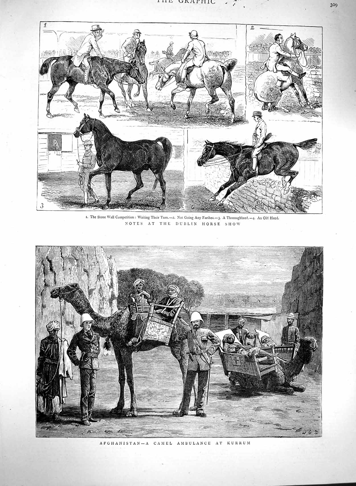 Original Old Antique Print 1880 Afghanistan Camel Ambulance Kurrum Dubli 19th
