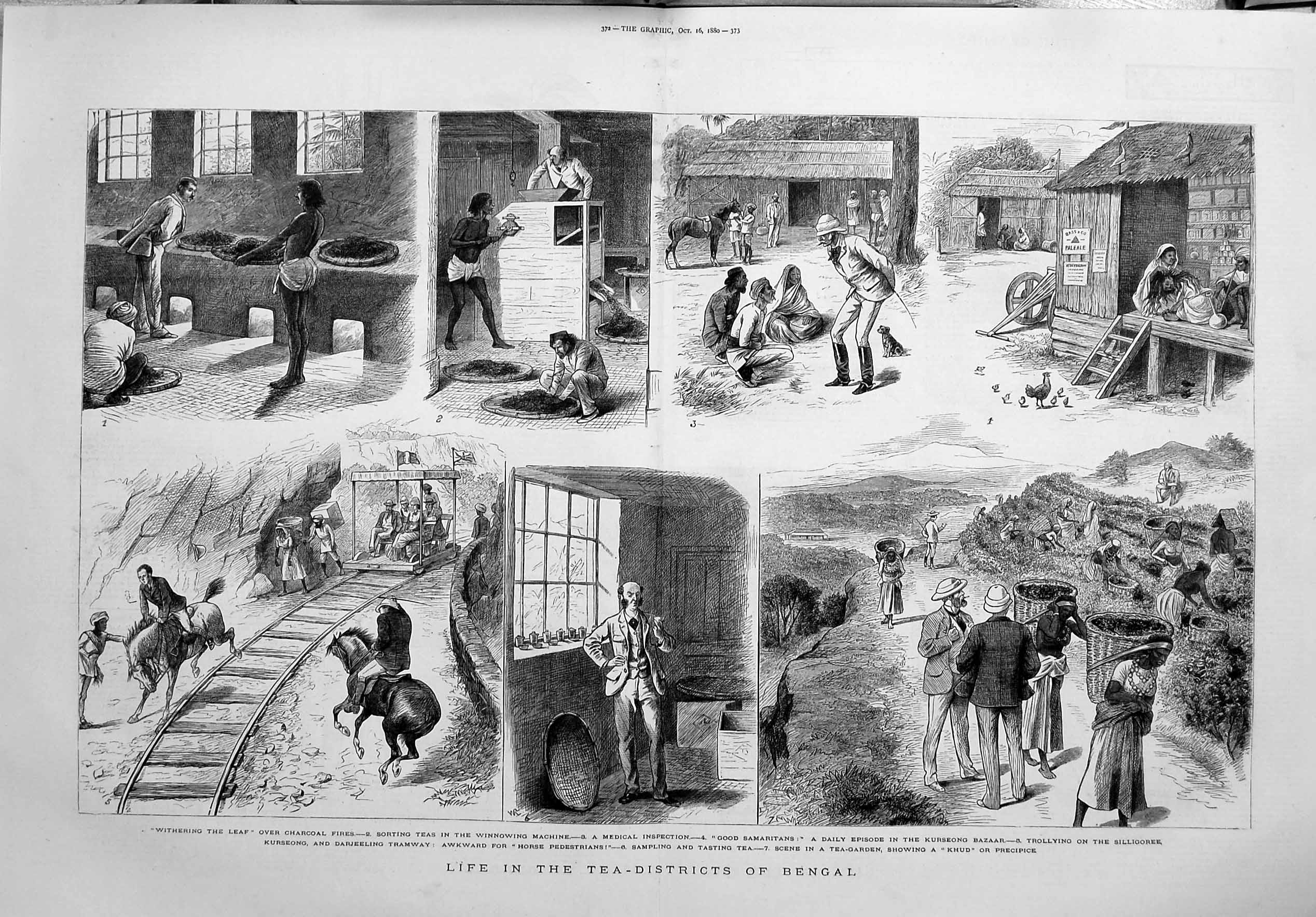 Original Old Antique Print 1880 Tea Districts Bengal Khud Silligoree Dar 19th