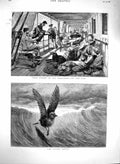 Old Antique Print 1880 Sydney San Francisco Ship Passengers Petrel Birds 19th