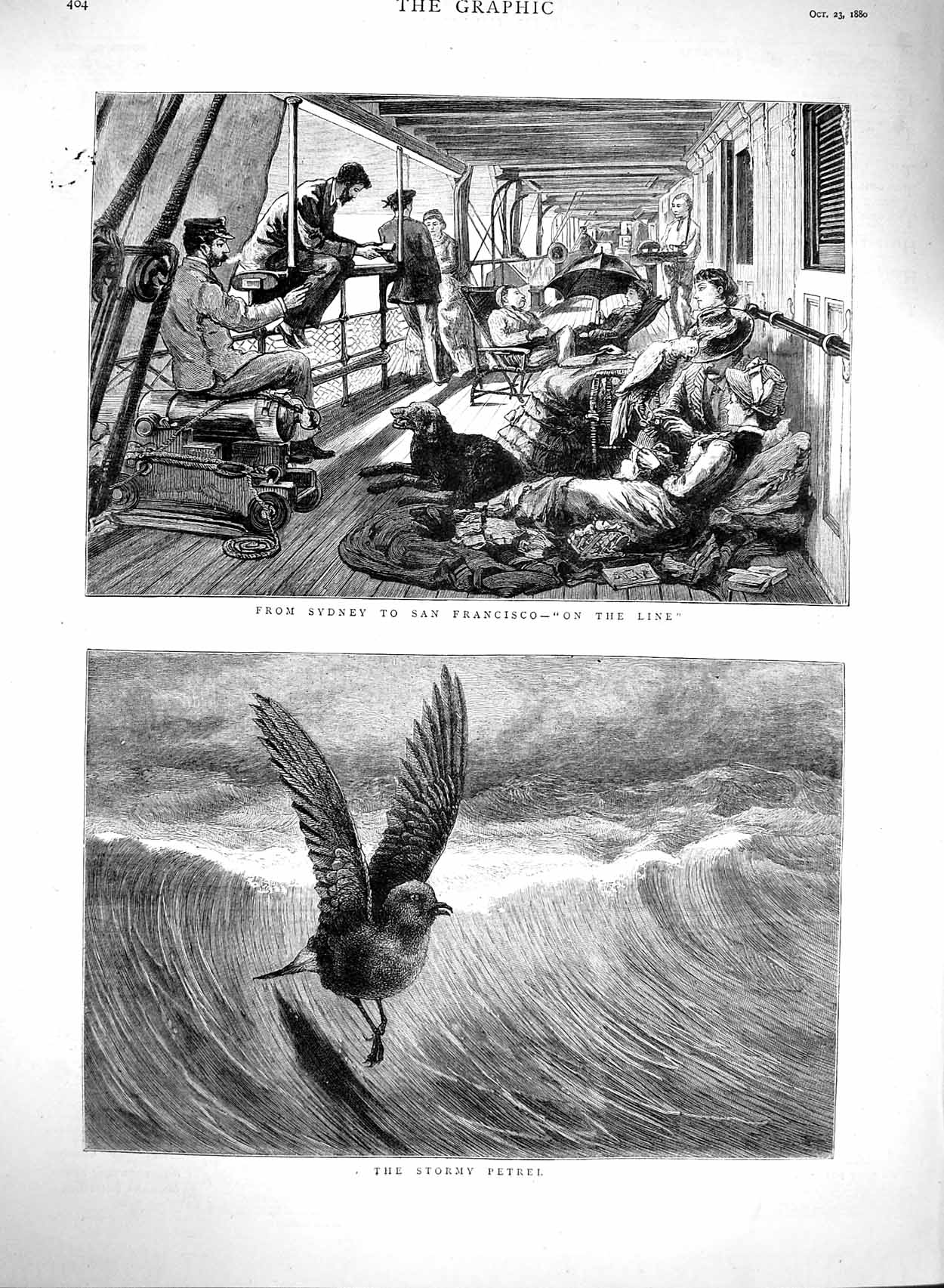 Old Antique Print 1880 Sydney San Francisco Ship Passengers Petrel Birds 19th