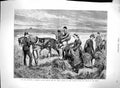 Original Old Antique Print 1880 Land Agitation Ireland Captain Boycott Harvest