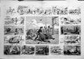 Old Antique Print 1880 Australia Cattle Wairigis Bull Murrumbidgee Snake 19th
