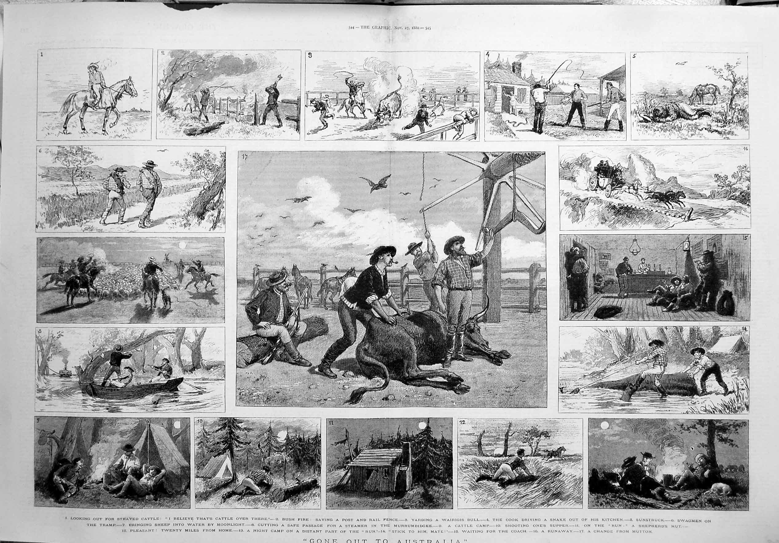 Old Antique Print 1880 Australia Cattle Wairigis Bull Murrumbidgee Snake 19th