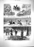 Original Old Antique Print 1880 British Columbia Sport Horses Racing Trees Men