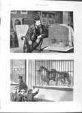 Old Antique Print 1881 Portrait Frank Buckland Children Zoo Animals Snow 19th