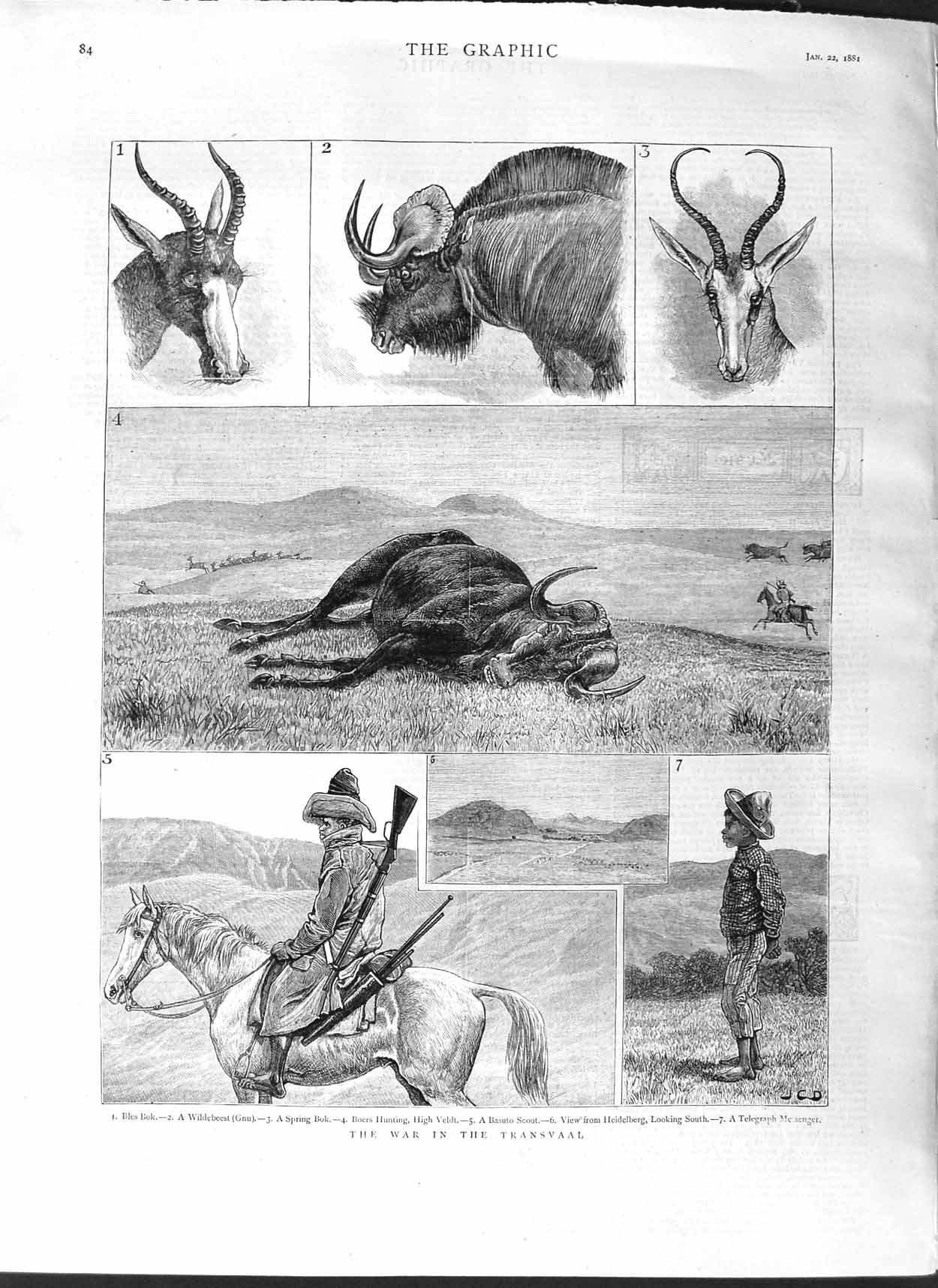 Original Old Antique Print 1881 War Transvaal Bles Bok Boers Hunting Wildebeest