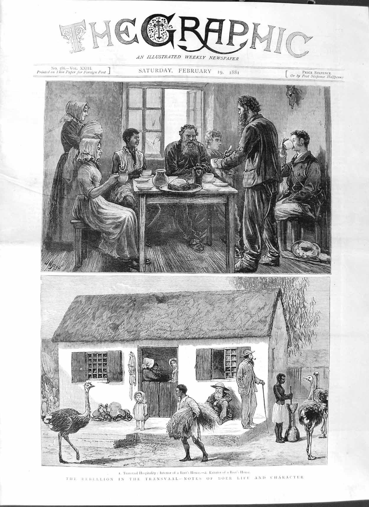 Original Old Antique Print 1881 Transvaal War Boer Life House Ostrich Natives