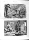 Original Old Antique Print 1881 India House Forest Dandenong Victoria Sa 19th