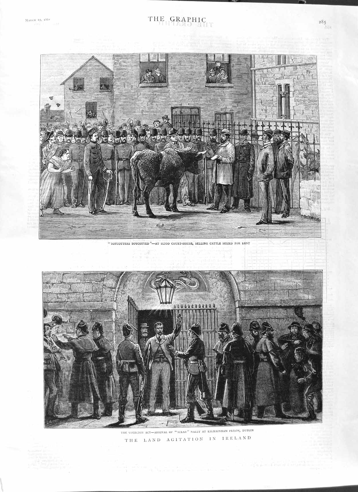 Original Old Antique Print 1881 Land Agitation Ireland Kilmainham Prison Cattle