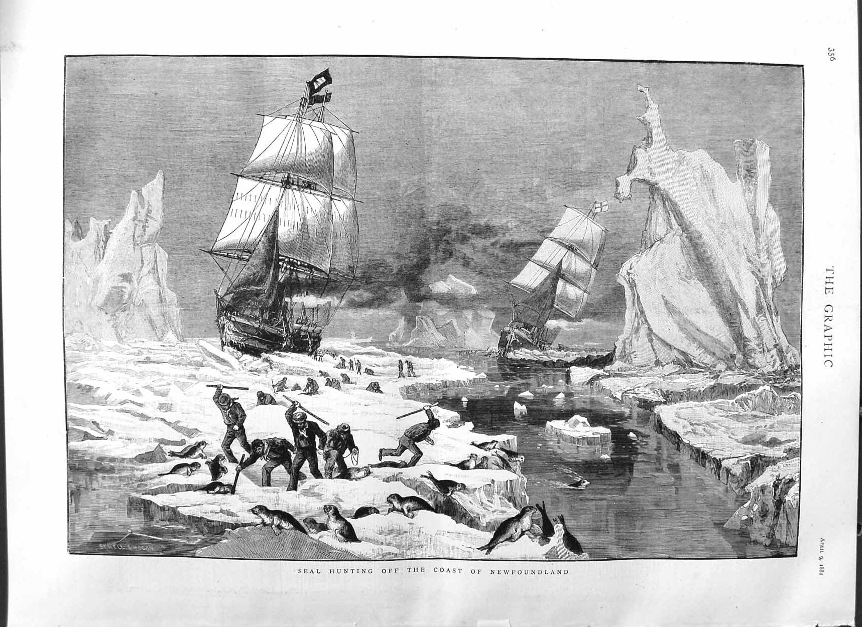 Original Old Antique Print 1881 Seal Hunting Newfoundland Ships Ice Fine Art