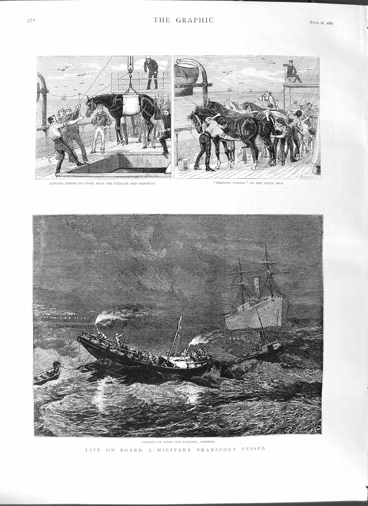 Original Old Antique Print 1881 Military Transport Coaling Boat Madeira Horses