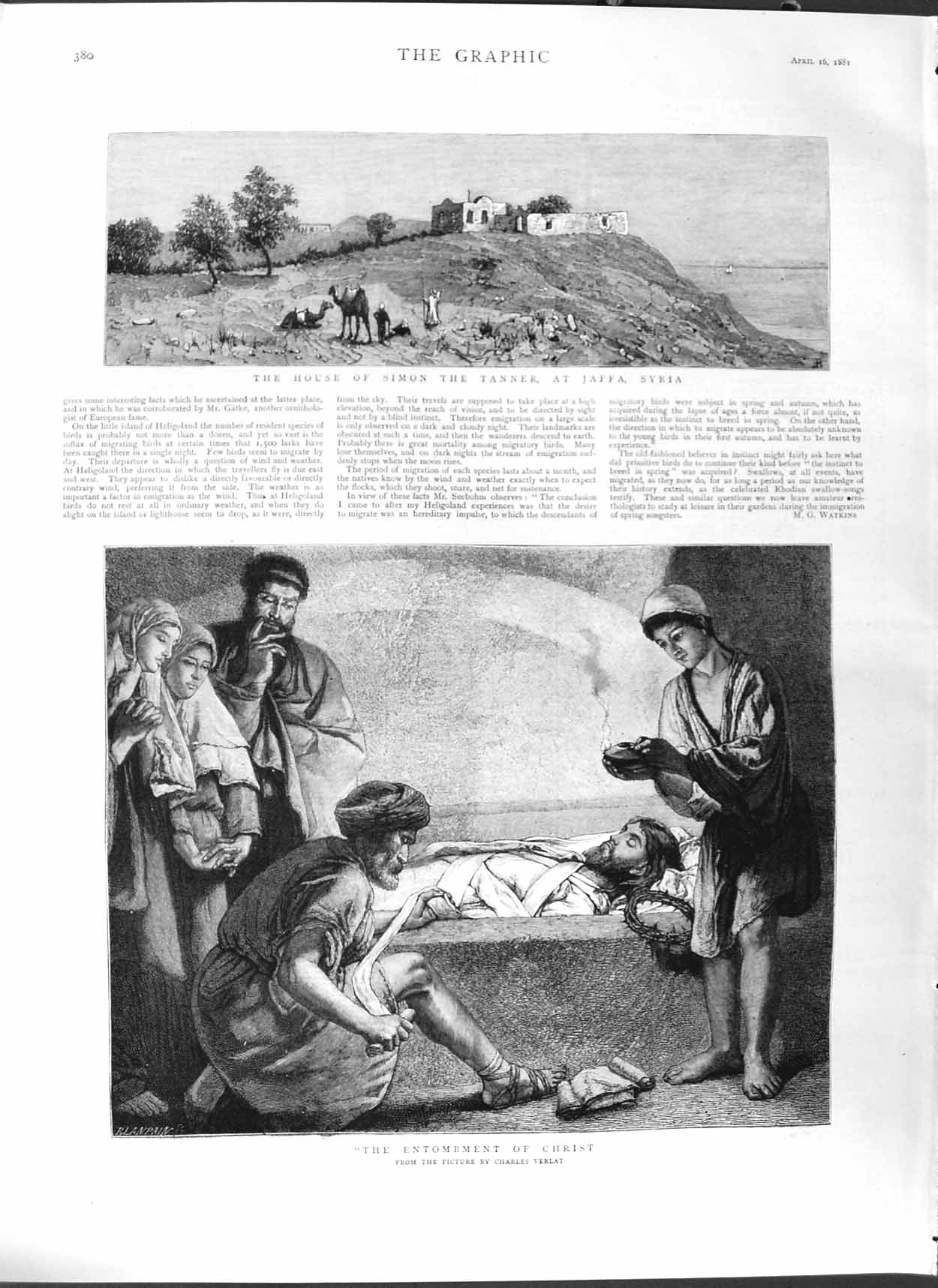Old Antique Print 1881 House Simon Tanner Jaffa Syria Entombment Christ 19th