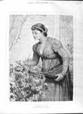 Original Old Antique Print 1881 Fine Art Woman Picking Flowers Garden 19th
