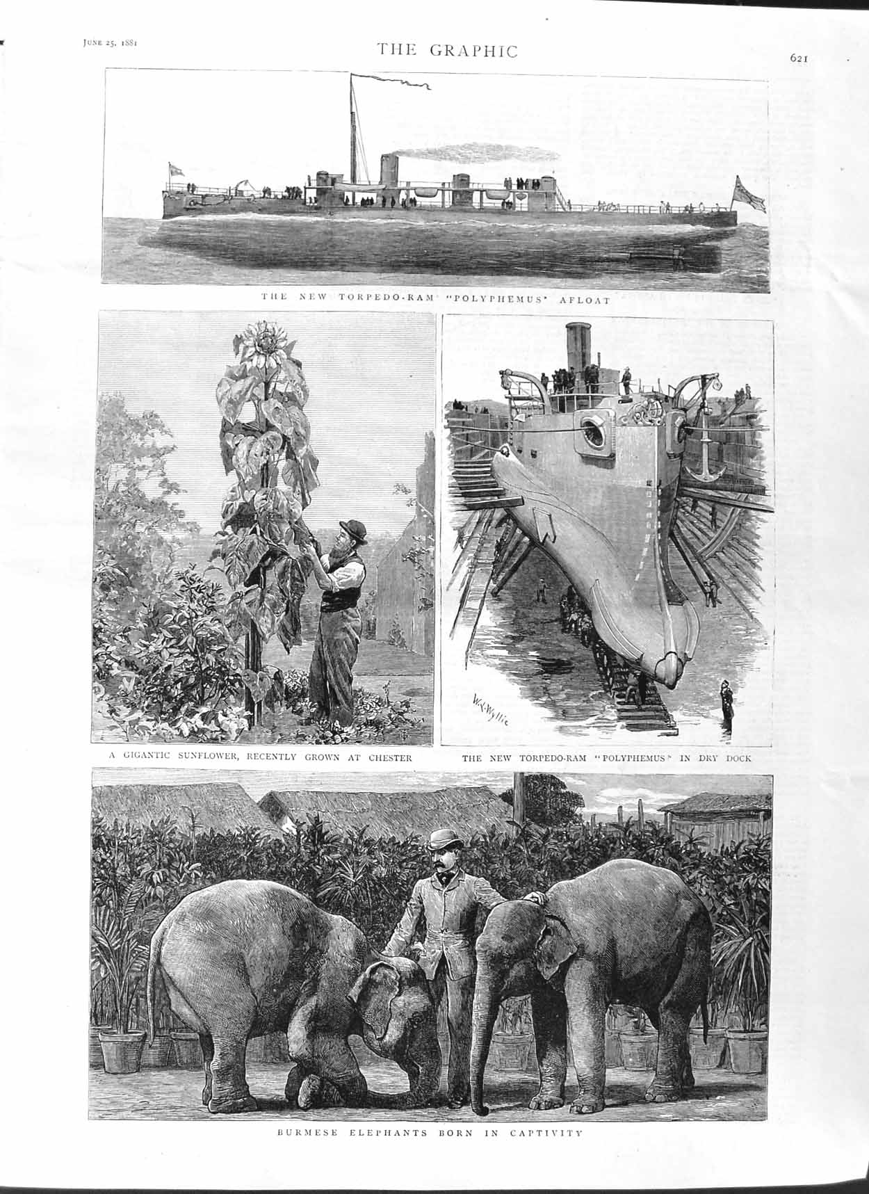Original Old Antique Print 1881 Torpedo-Ram Polyphemus Ship Chester Elephants