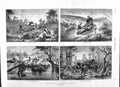 Original Old Antique Print 1881 South Africa African Lynx Elephants Manekango