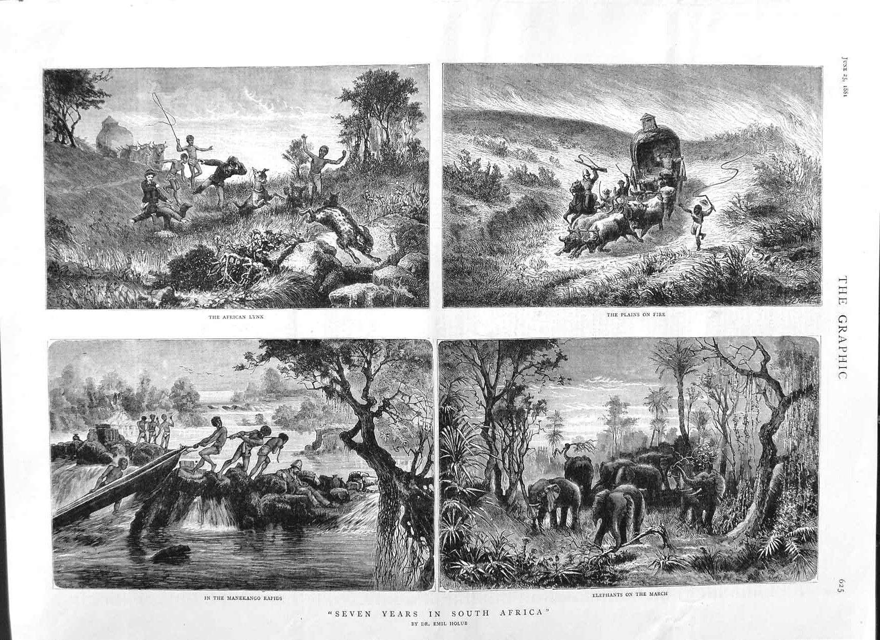 Original Old Antique Print 1881 South Africa African Lynx Elephants Manekango