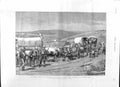 Original Old Antique Print 1881 Transvaal Revolt Survivors Bonkers Spruit Siers