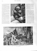 Old Antique Print 1881 Baby Orang-Outang Steam Trawler Firth Forth Ship 19th