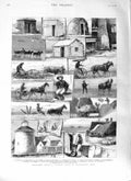 Original Old Antique Print 1881 Prairie Farm Minnesota America Mud Hou Victorian