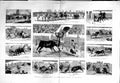 Original Old Antique Print 1881 Bull Fighting Ring Madrid Spain Picador Cu 19th