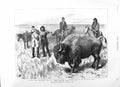 Original Old Antique Print 1881 Marquis Lorne Buffalo Hunting Red River 19th