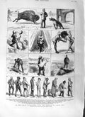 Old Antique Print 1881 Marquis Lorne Winnipeg Macgregor Buffalo Hunting 19th